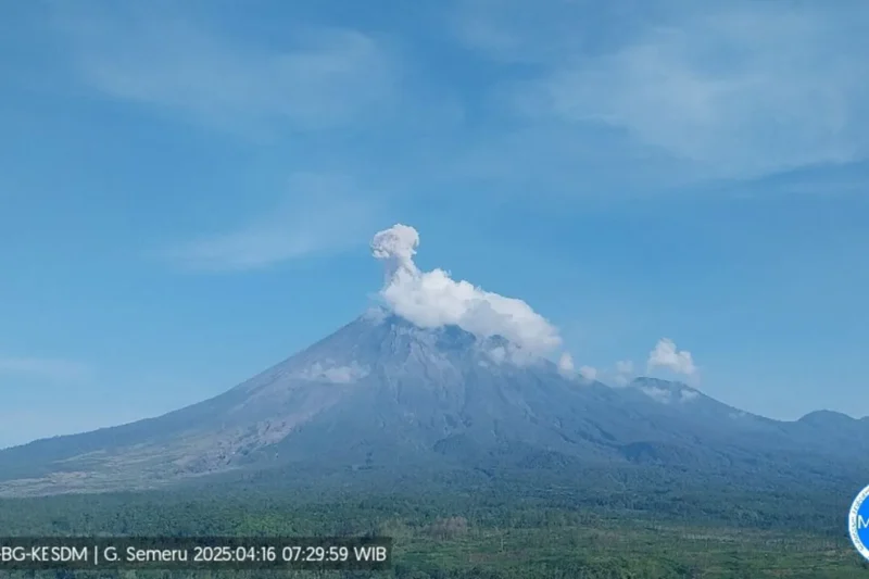 Gunung Semeru erupsi dengan letusan setinggi 1.000 meter di atas puncak pada Rabu (16/4/2025) pagi. ANTARA/HO-PVMBG