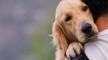 Manusia, Anjing, dan Pengkhianatan Diri: Sebuah Refleksi Atas Homo Duplex