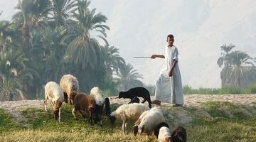 Serigala di Pintu, Penggembala di Balik Senyum: Refleksi Kealpaan Manusia atas Ancaman Terdekat