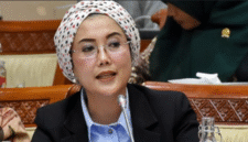 Selly Andriany Gantina, Anggota Dewan Perwakilan Rakyat RI
