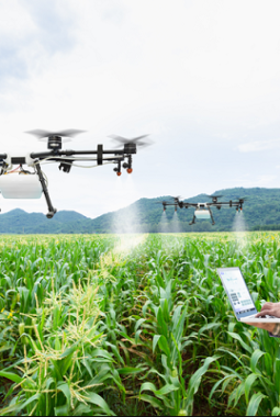 Projo Desak Percepatan “Tech-Savvy Farming” Guna Jaga Ketahanan Pangan Nasional